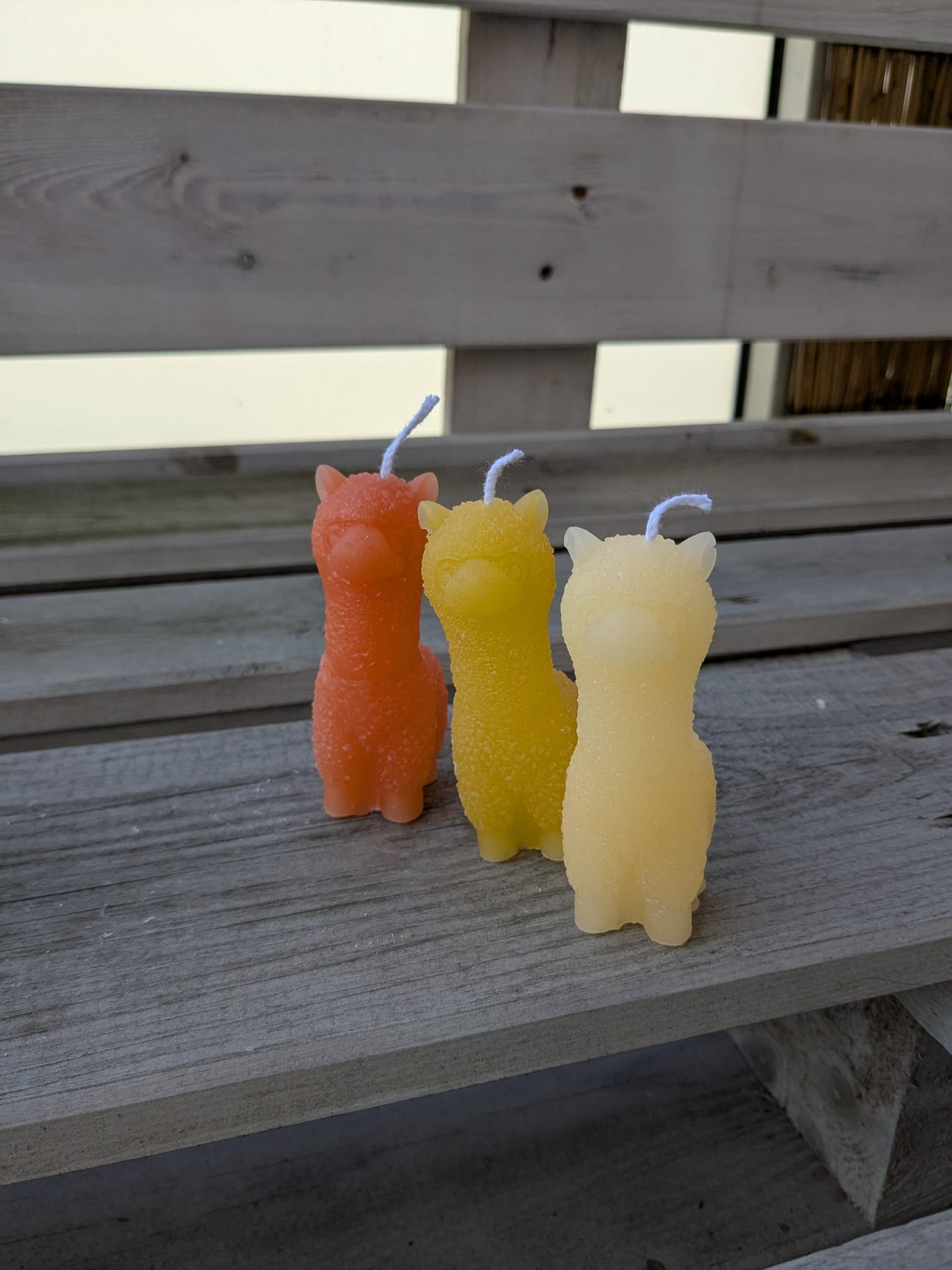 Alpaka - Candlestore.MaKe.IT
