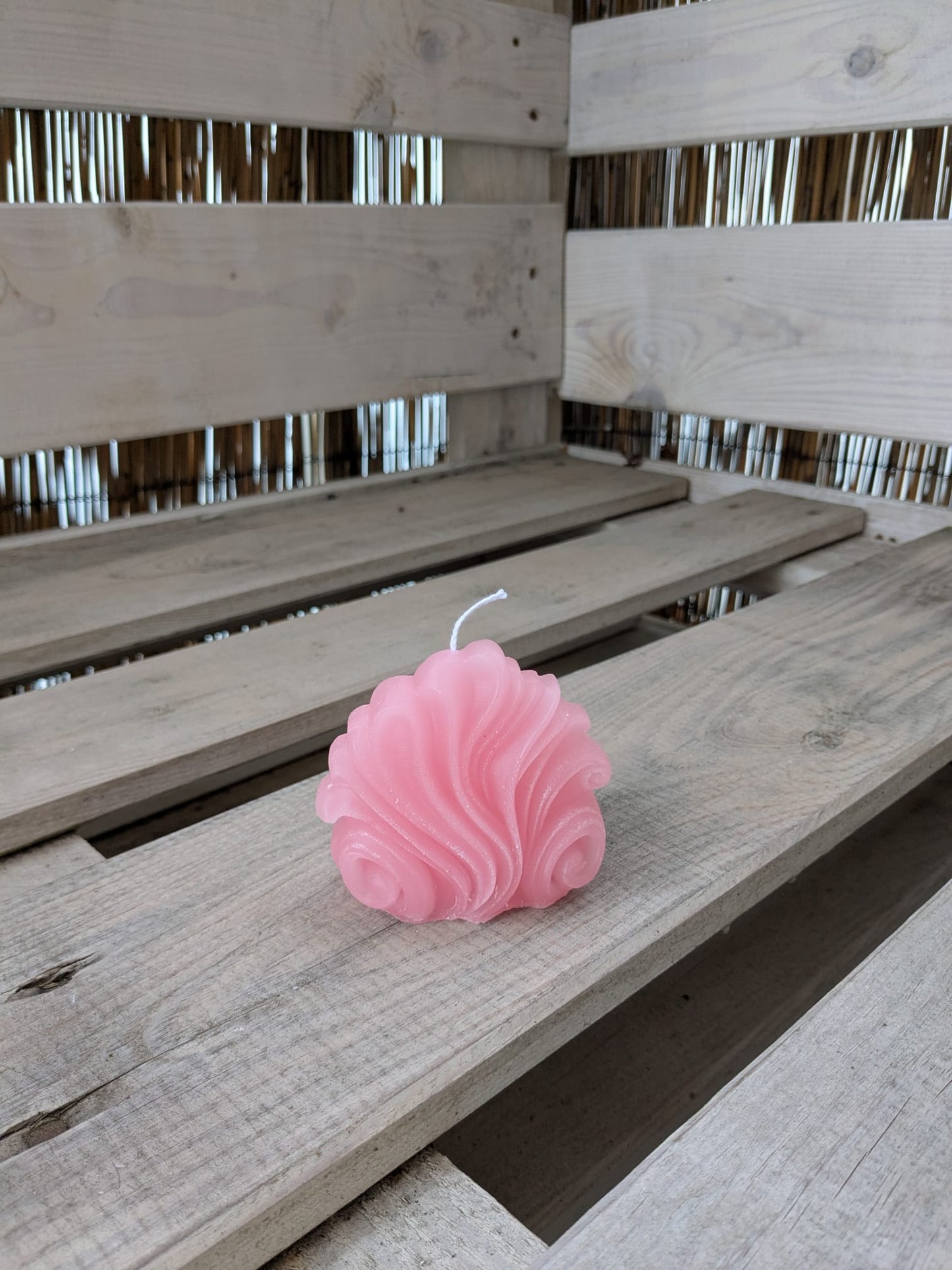 Muschel - Candlestore.MaKe.IT