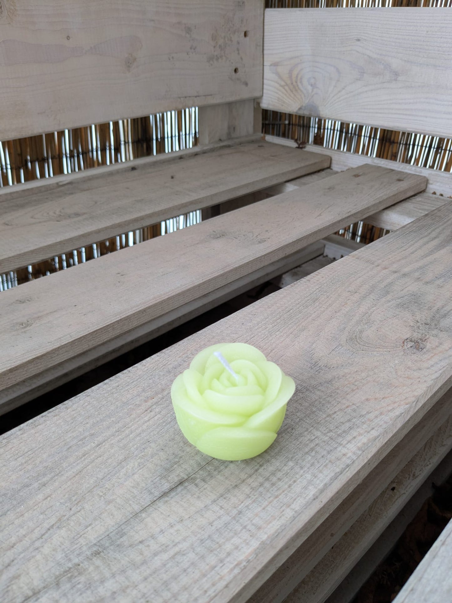 Tulpe - Candlestore.MaKe.IT