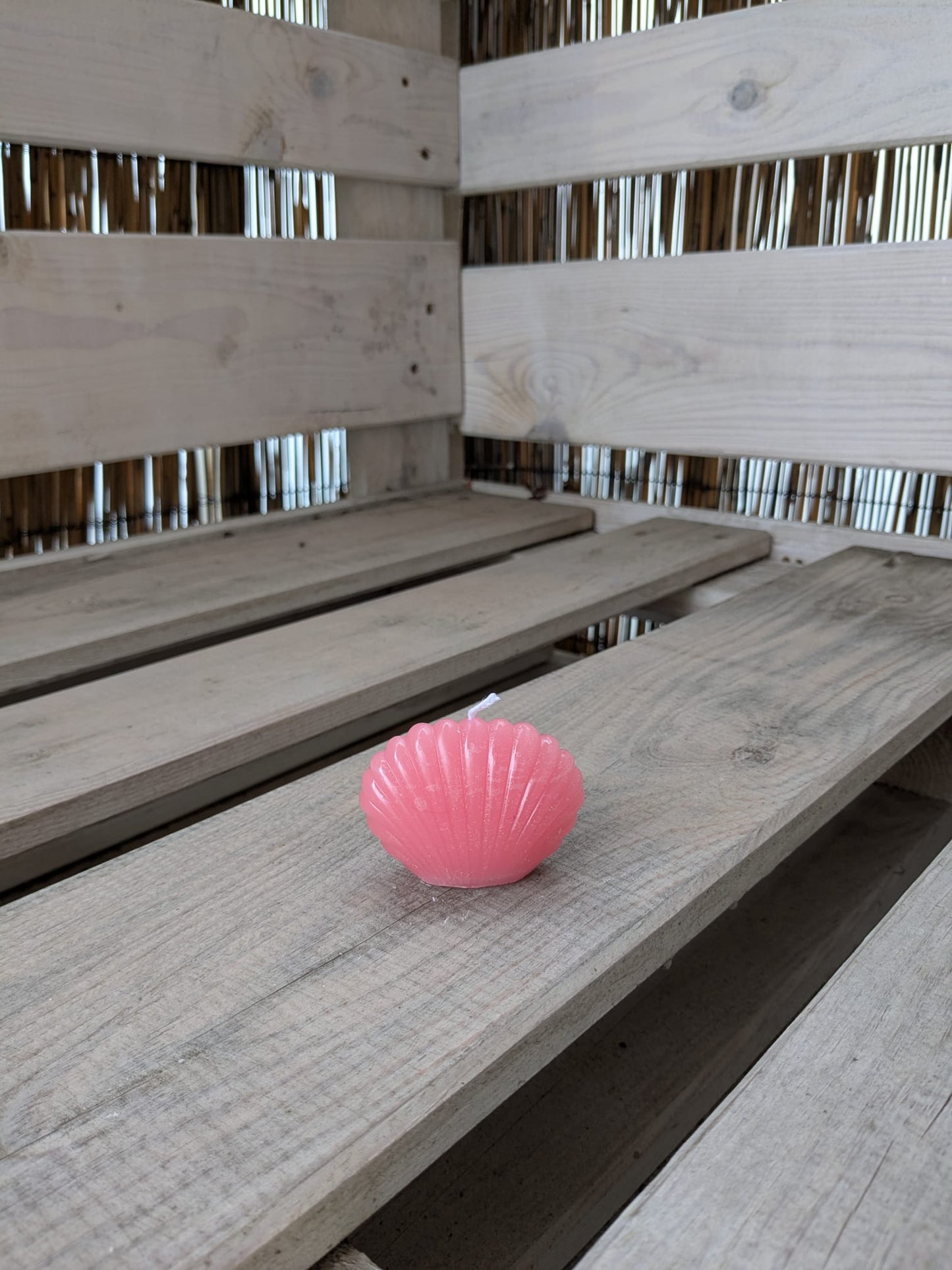Kleine Muschel - Candlestore.MaKe.IT