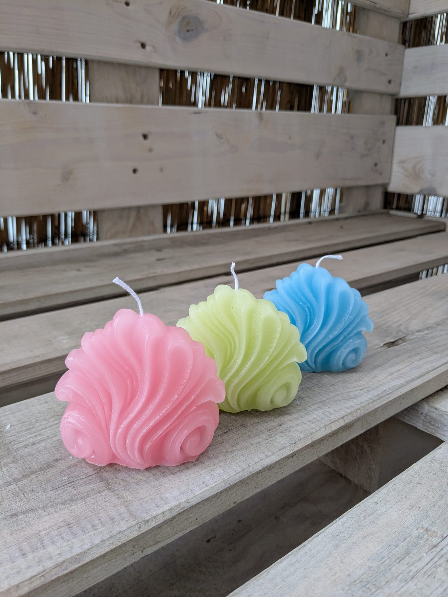 Muschel - Candlestore.MaKe.IT