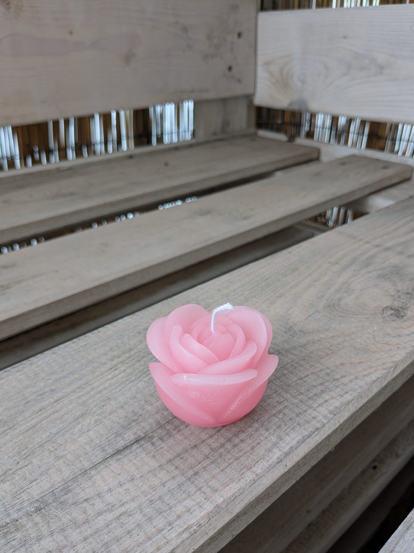 Tulpe - Candlestore.MaKe.IT