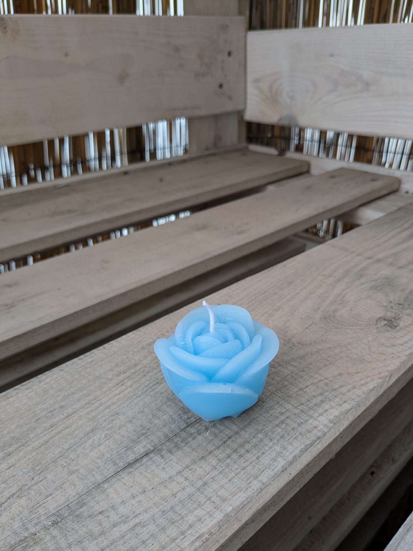 Tulpe - Candlestore.MaKe.IT