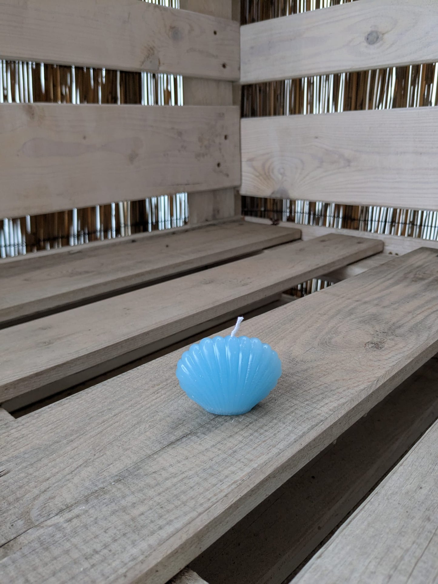 Kleine Muschel - Candlestore.MaKe.IT