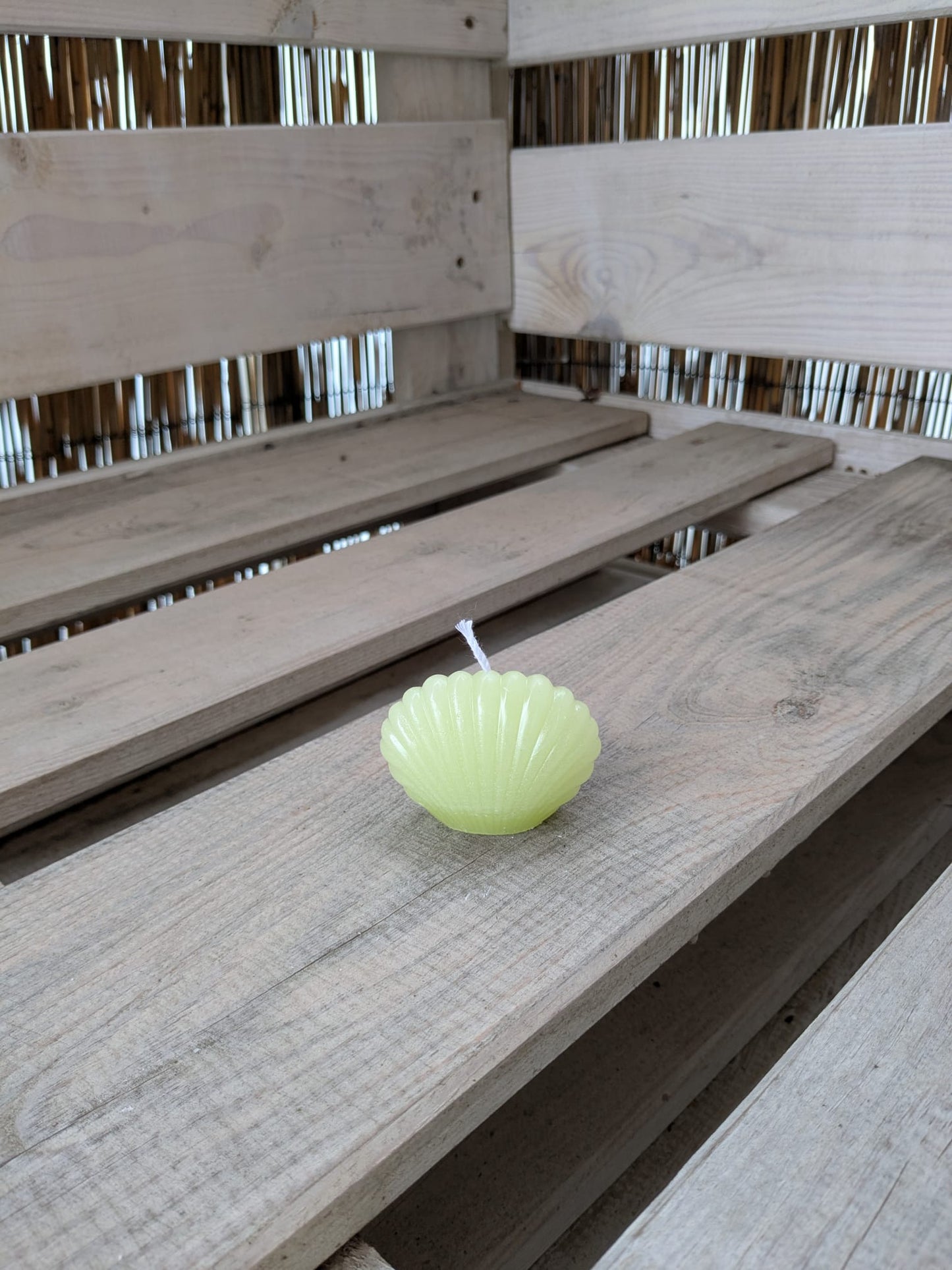 Kleine Muschel - Candlestore.MaKe.IT