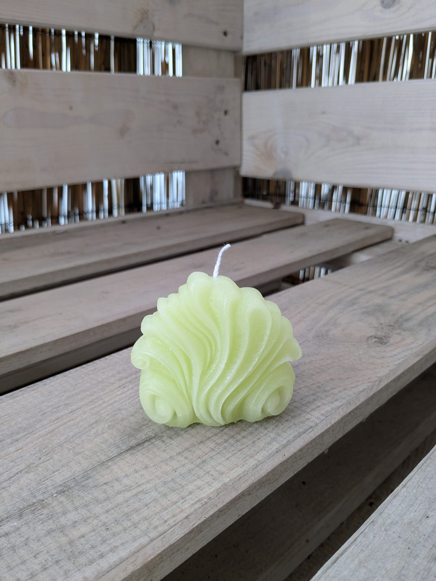 Muschel - Candlestore.MaKe.IT