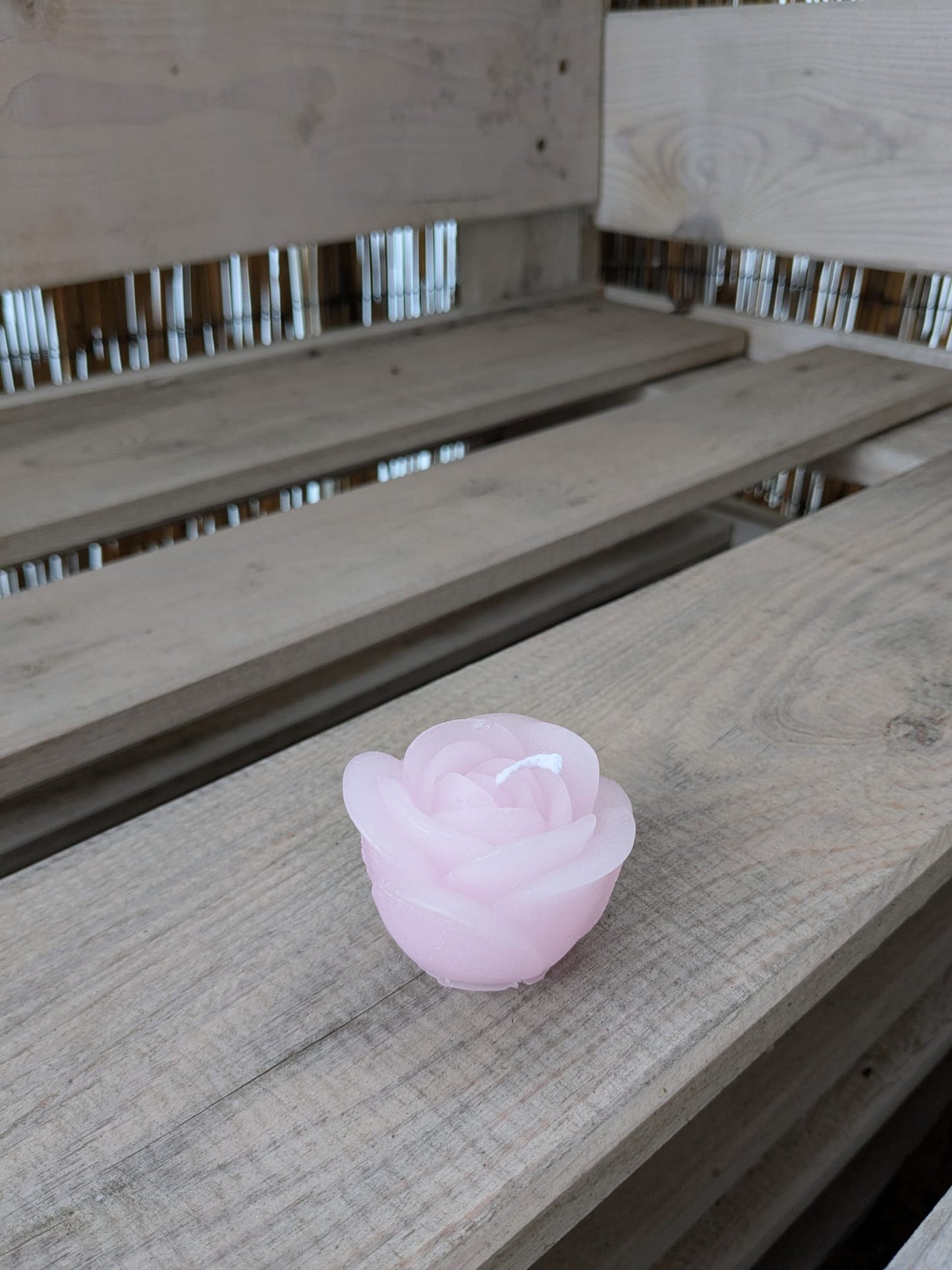 Tulpe - Candlestore.MaKe.IT