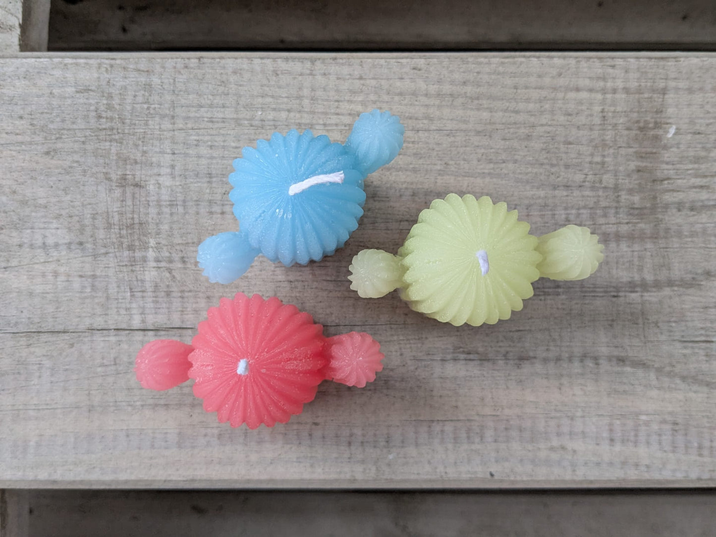 Kleine Kaktus Kerze - Candlestore.MaKe.IT