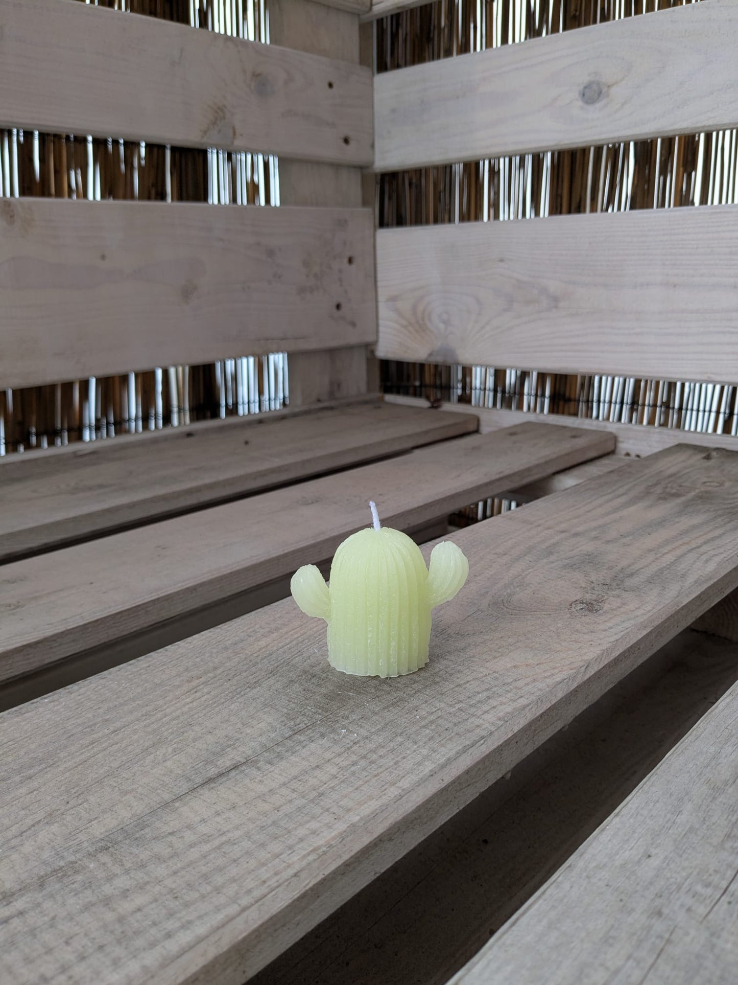 Kleine Kaktus Kerze - Candlestore.MaKe.IT