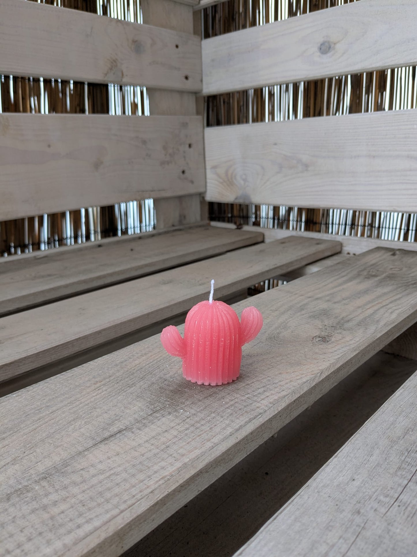Kleine Kaktus Kerze - Candlestore.MaKe.IT