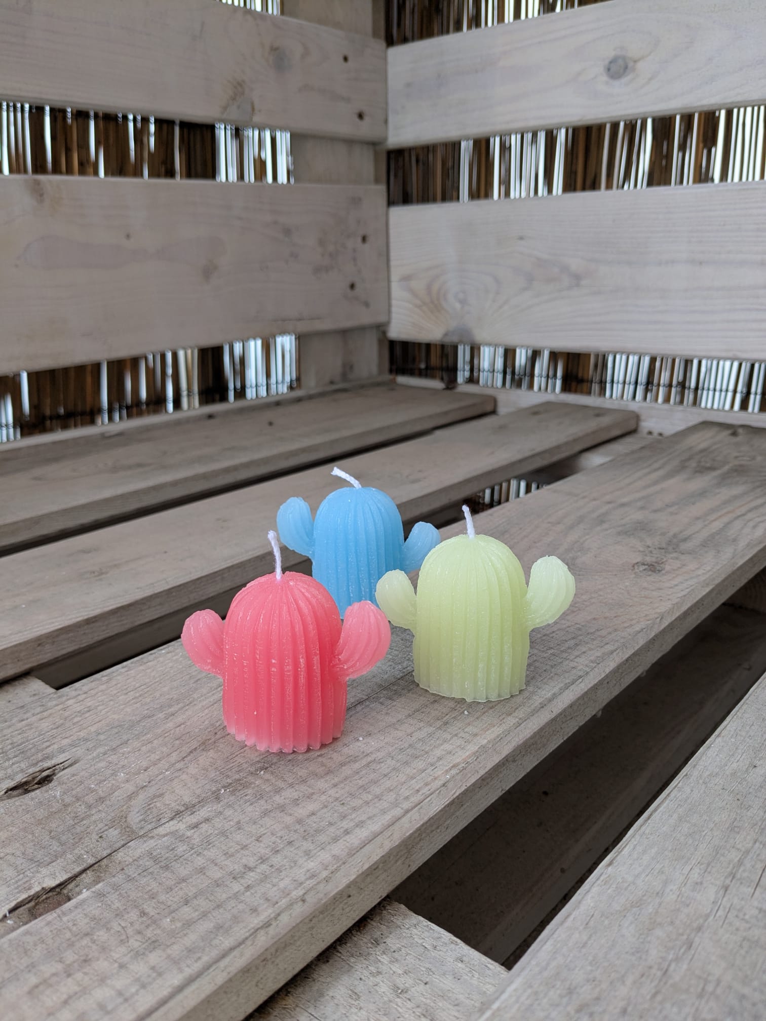 Kleine Kaktus Kerze - Candlestore.MaKe.IT