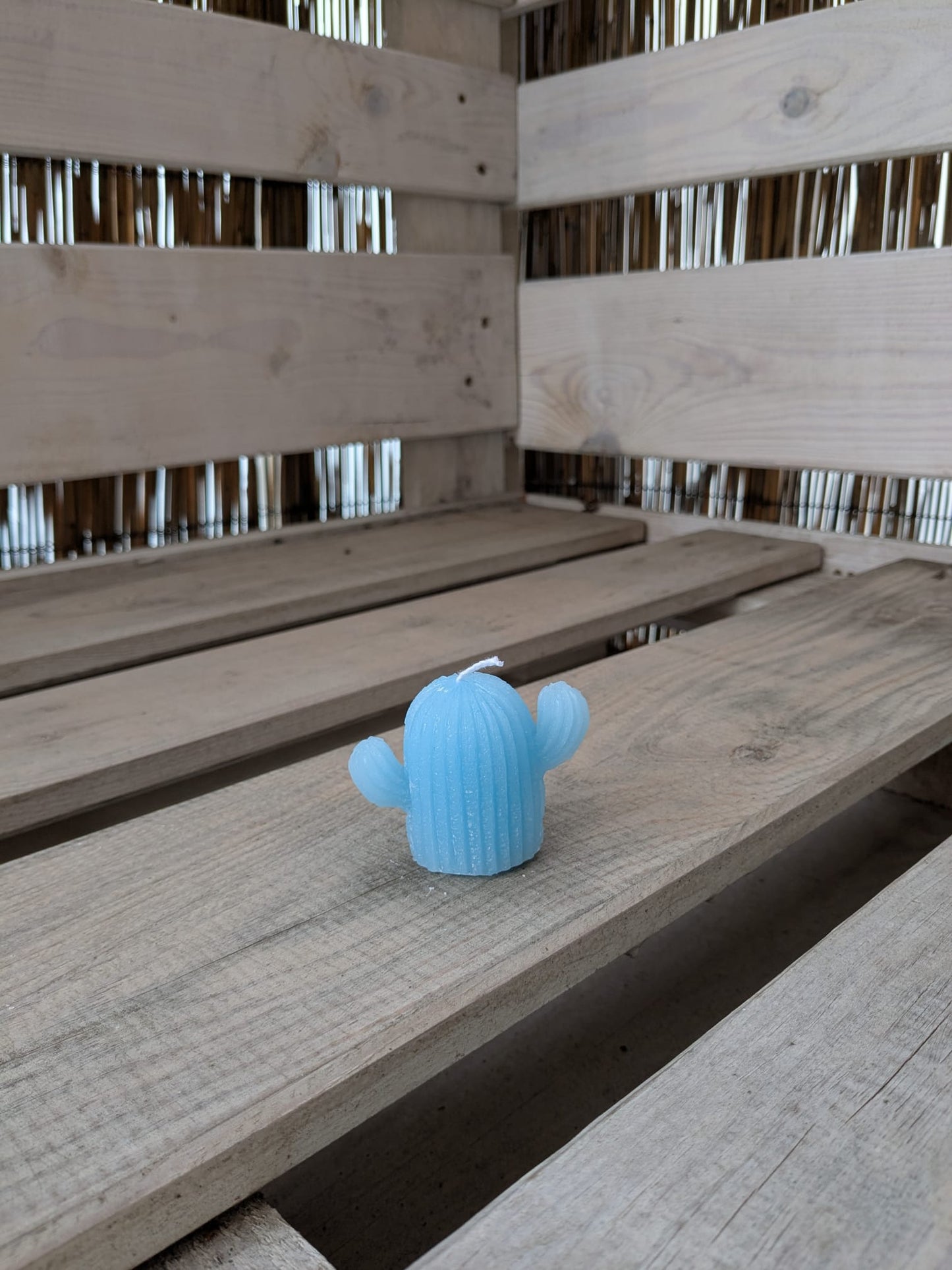 Kleine Kaktus Kerze - Candlestore.MaKe.IT