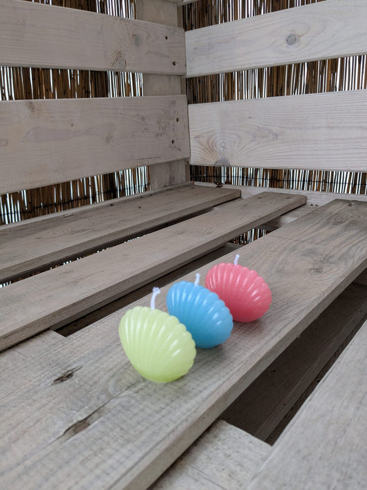 Kleine Muschel - Candlestore.MaKe.IT