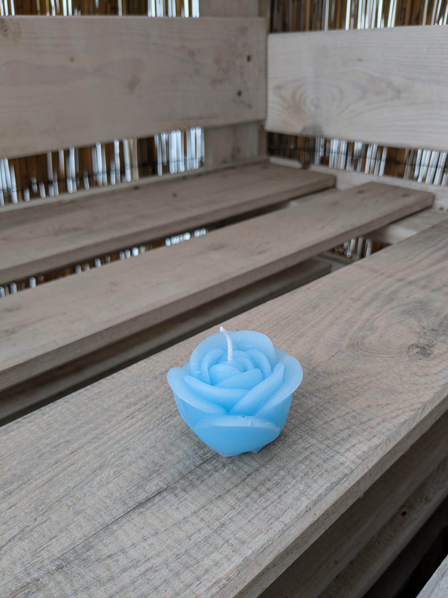 Tulpe - Candlestore.MaKe.IT