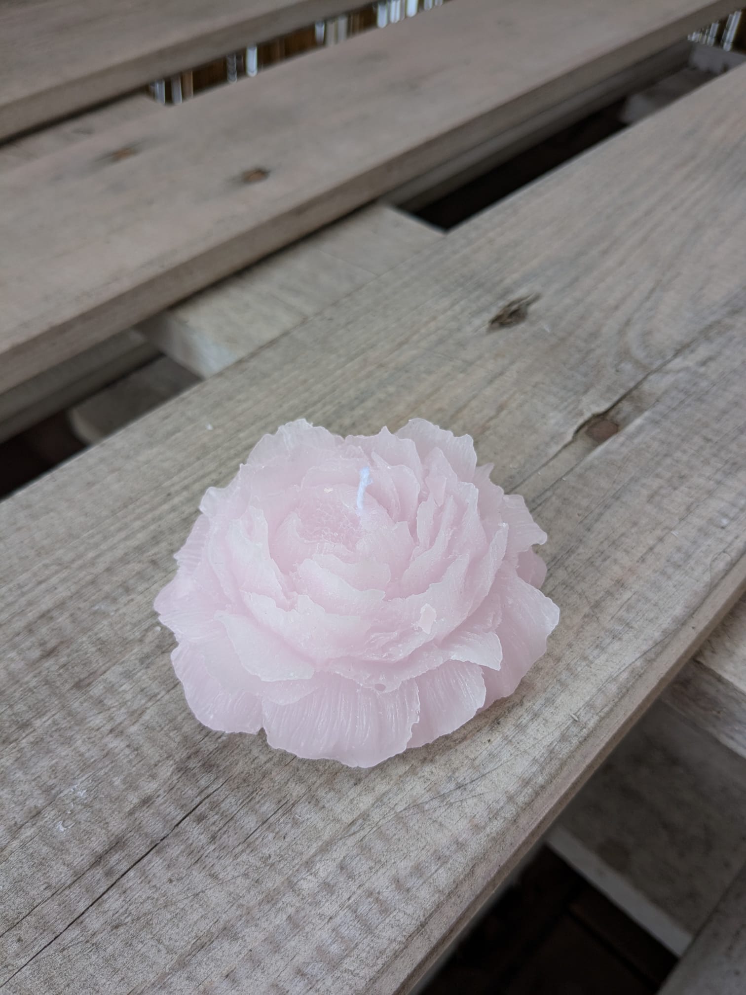 Rose - Candlestore.MaKe.IT